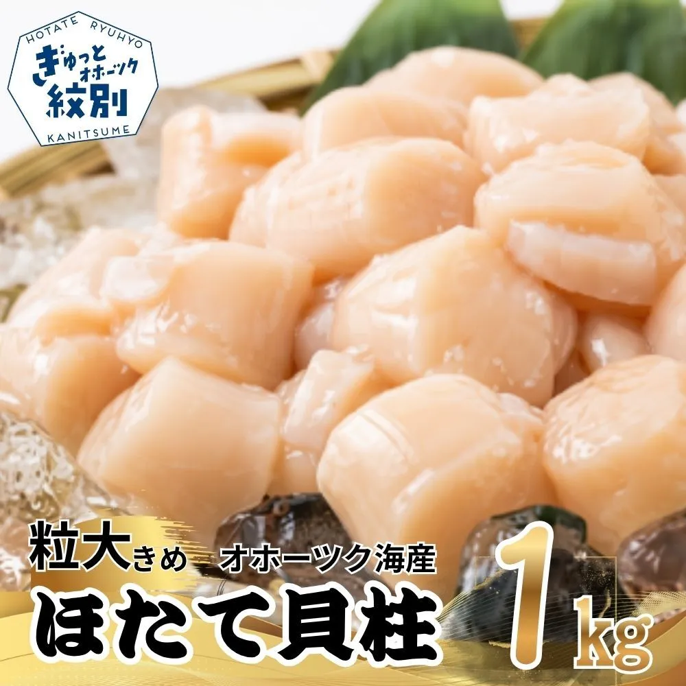 25-94 大粒！冷凍帆立貝柱500ｇ×2(計1kg) ｜ ホタテ ほたて 玉冷