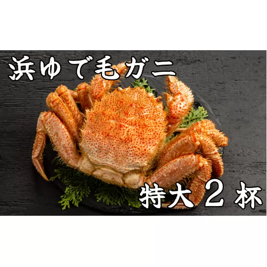 52-10 流氷明け浜ゆで毛ガニ　特大2杯