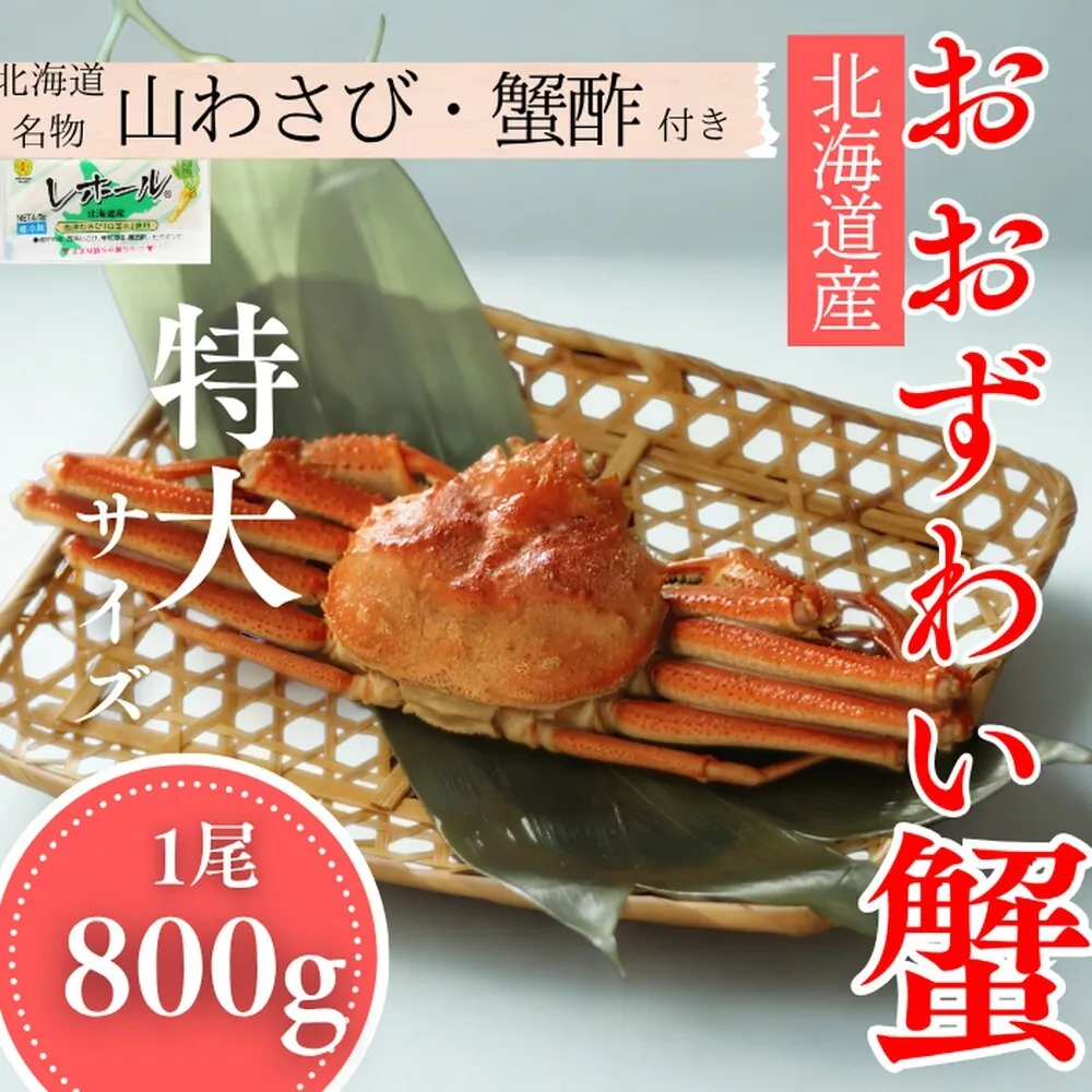 [北海道産]特大サイズ オオズワイガニ姿 800g以上1尾 | 蟹酢・山わさび付 かに おおずわいがに