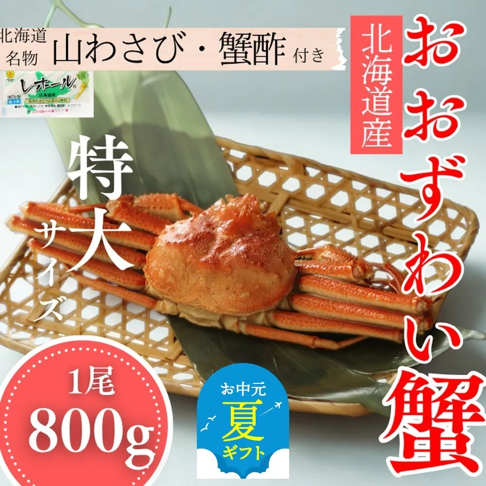 [お中元][北海道産]特大サイズ オオズワイガニ姿 800g以上1尾 | 蟹酢・山わさび付 かに おおずわいがに