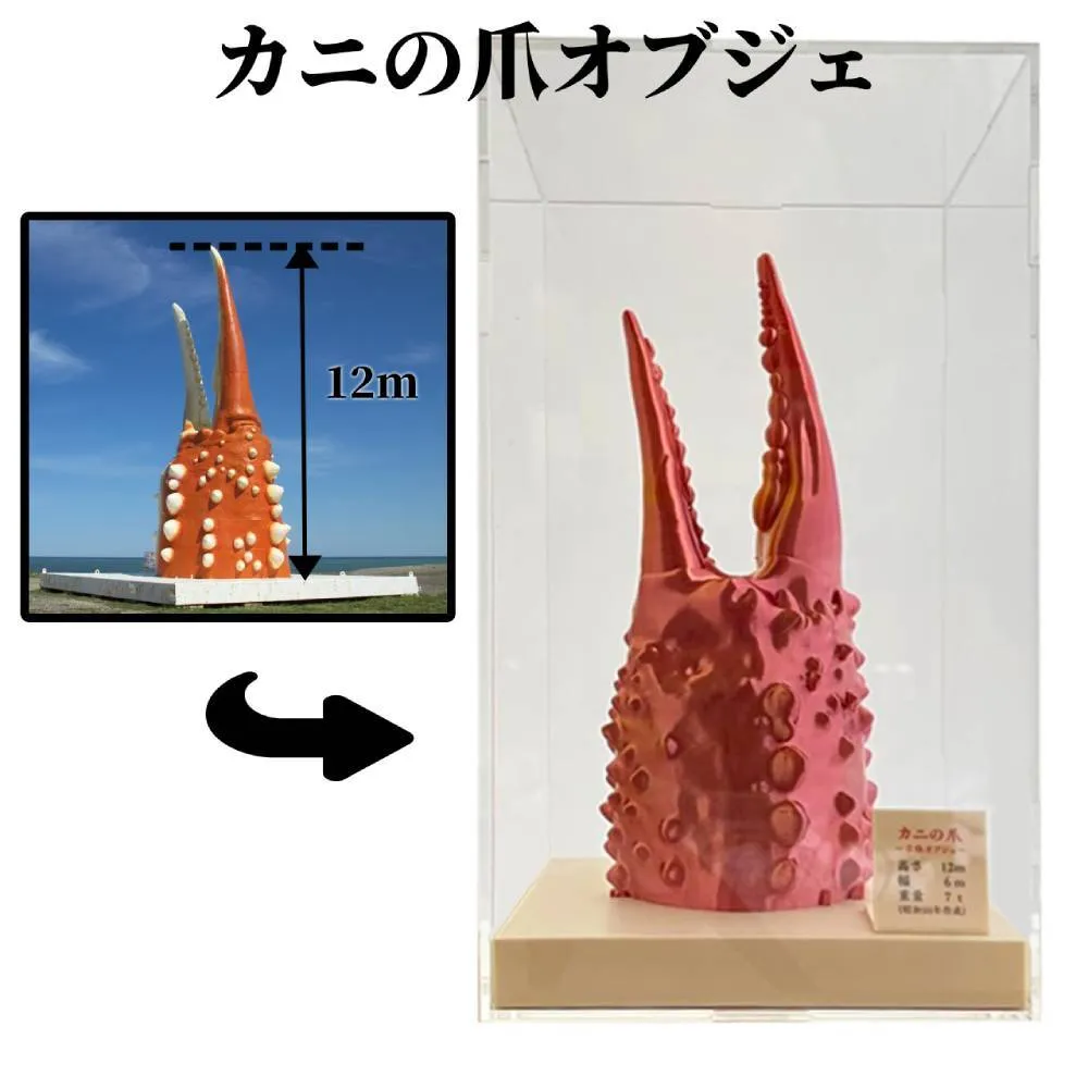 34-23 カニの爪オブジェ（大型）ケース付き