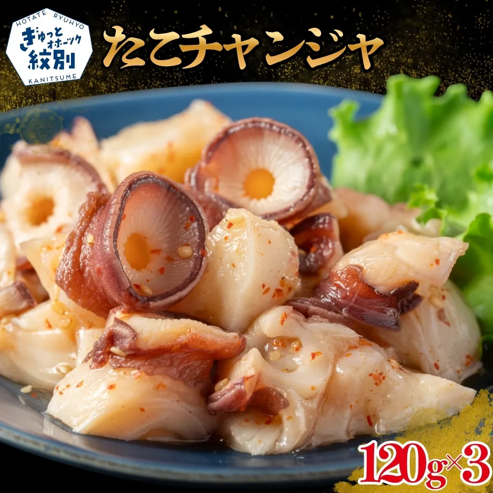 11-234 たこチャンジャ120g×3パック
