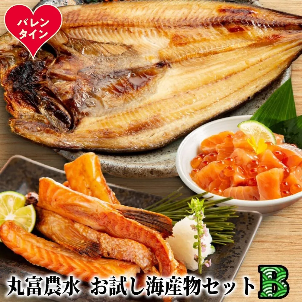 13-377 【バレンタインデー】丸富農水お試し海産物セットＢ