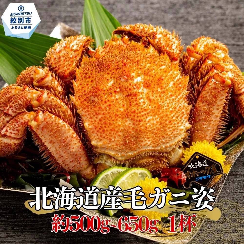 17-283 北海道産毛ガニ　約500～650g×1杯