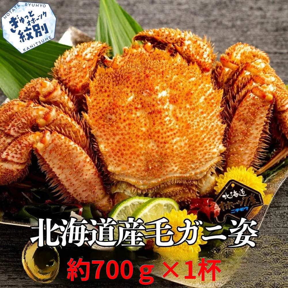 16-191 【訳あり】北海道産毛ガニ　約700g×1杯