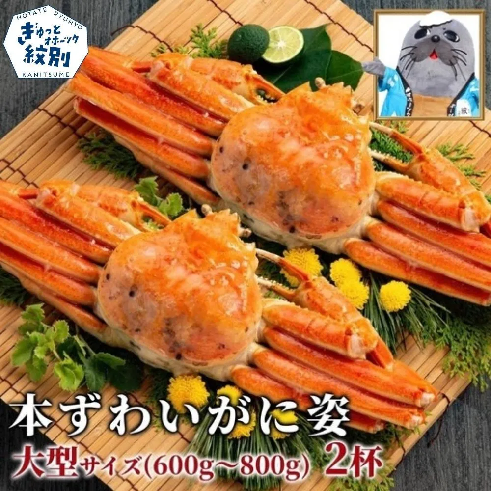 19-107 【訳あり】本ずわいがに姿 大型サイズ2杯 約600~800g