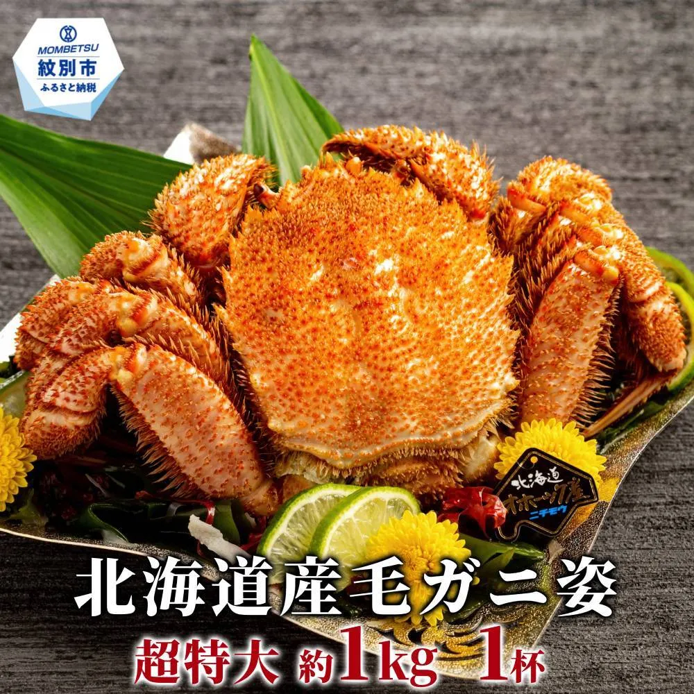 25-97 【超特大】北海道産毛ガニ　約1kg×1杯