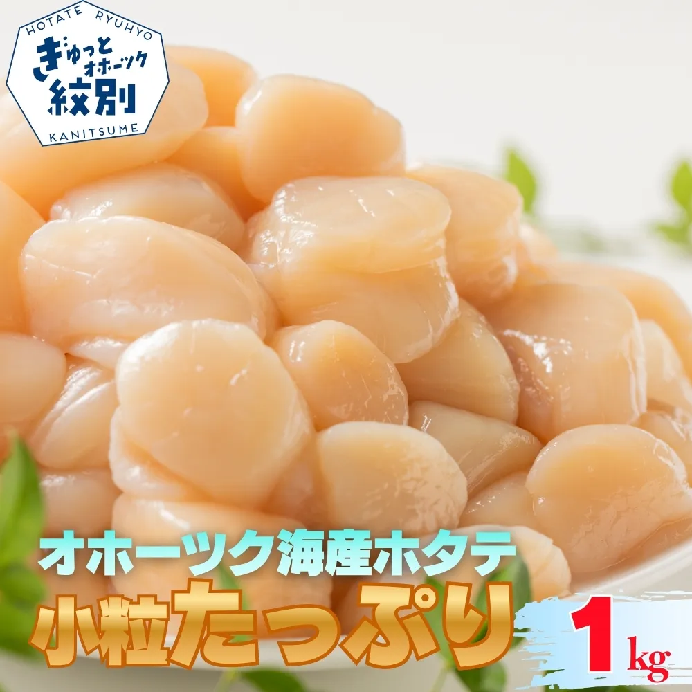 15-399 北海道オホーツク海産ホタテ玉冷小粒たっぷり(1kg)