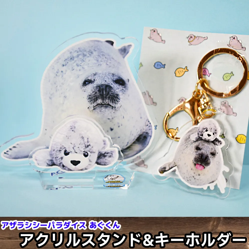 10-502 あぐのアクリルスタンド・キーホルダー【アザラシシーパラダイスグッズ】