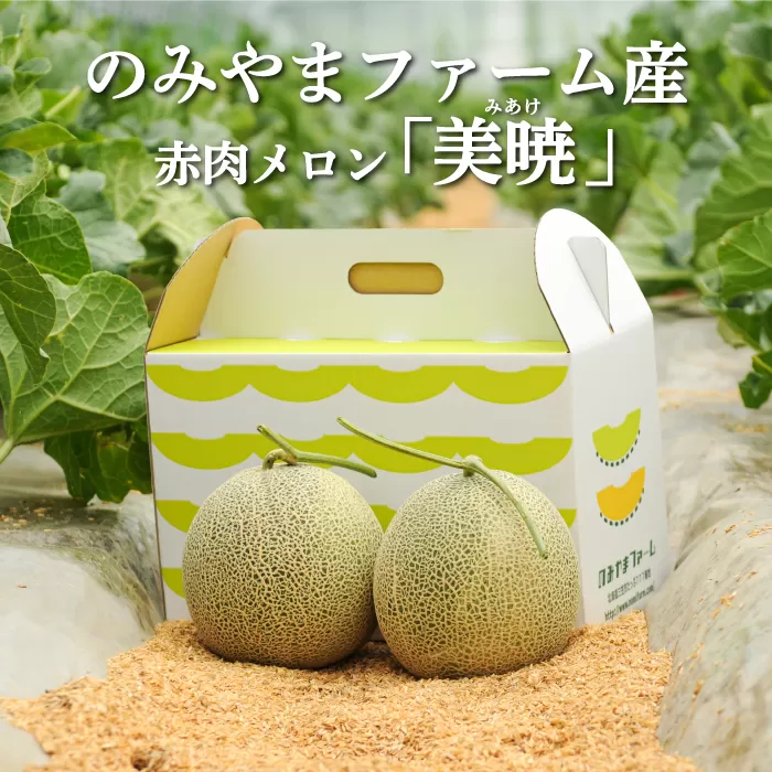 《2025年分受付中》≪数量限定！≫のみやまファームの赤肉メロン「美暁」（各1.6kg以上を2玉）【01167】