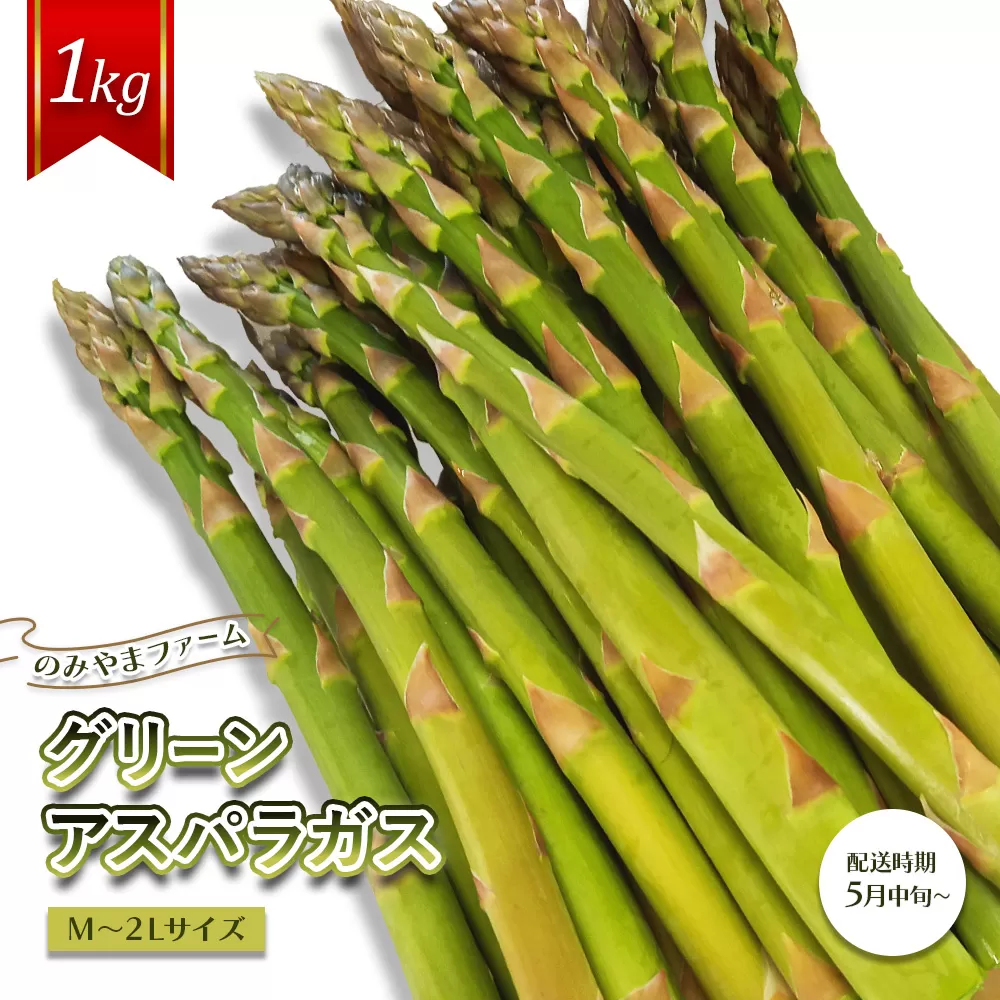 【先行受付】のみやまファームのグリーンアスパラガス（Ｍ〜２L以上）1kg＜受付2025年8月上旬まで＞【05004】