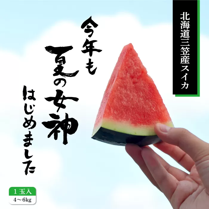 《2025年分受付中》『夏の女神』種が少なくて甘い黒皮スイカ1玉入（中玉4〜6kg）【01005】