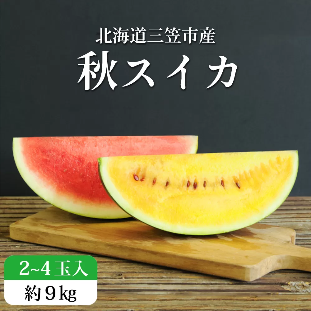 《2025年分受付中》秋に収穫される赤色スイカor黄色スイカ2〜4玉(約9kg)【01149】