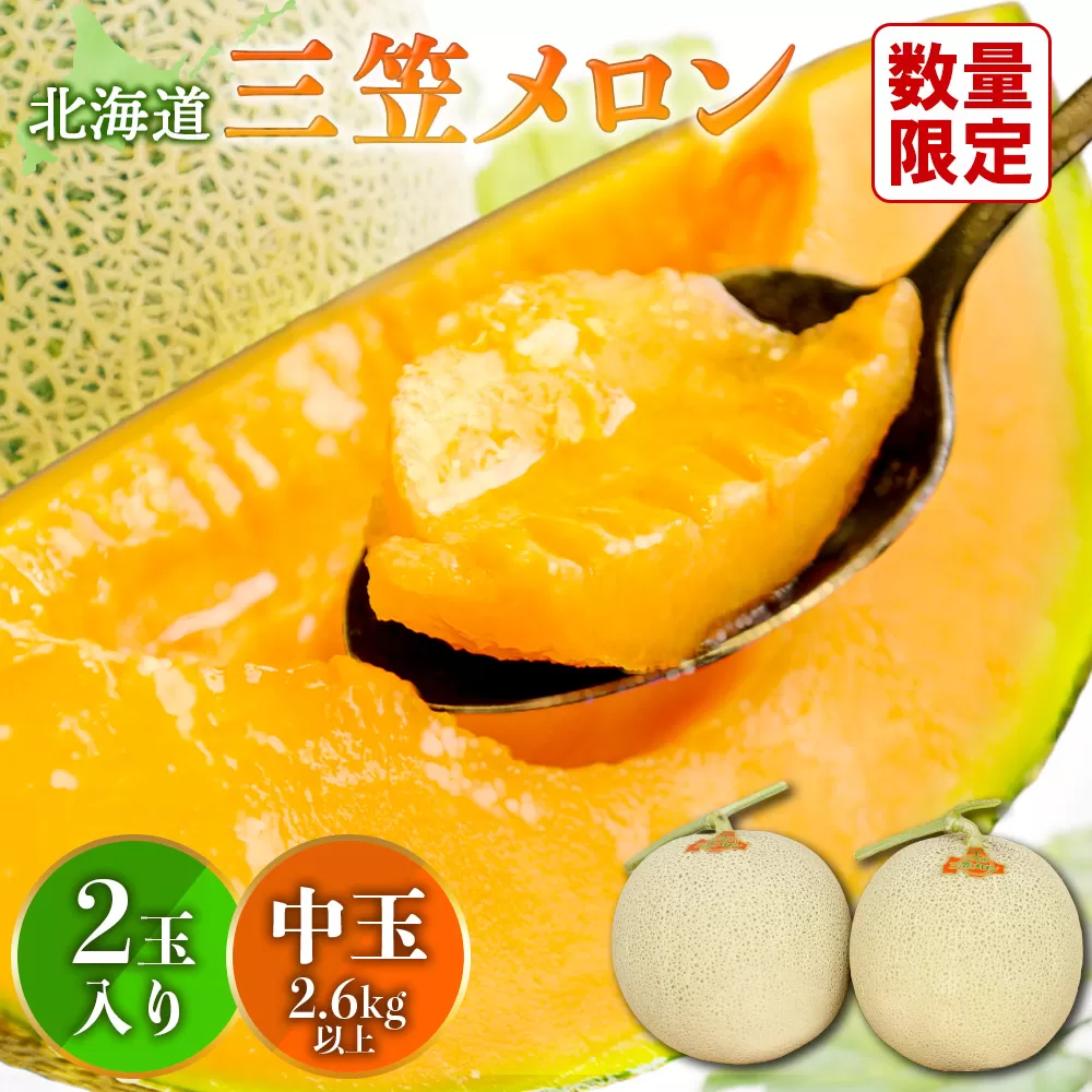 《好評につき8/22まで延長！！》とろける食感と甘い香り北海道三笠メロン2玉入（2.6kg以上）【0100103】