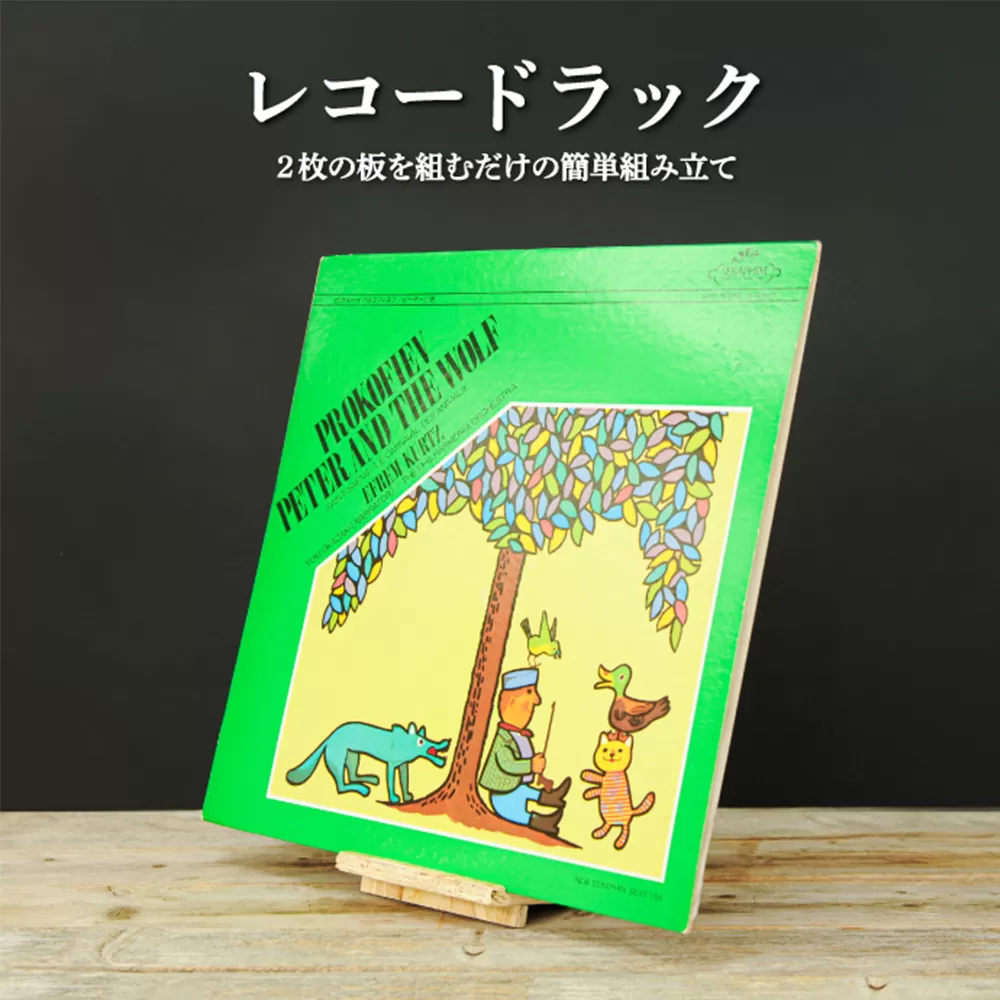 大工さん手作りの組み立てシリーズ《レコードラック》【43003】