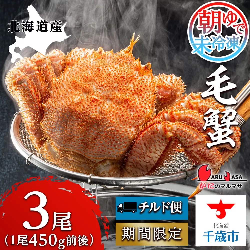 北海道産【 朝ゆで 】 毛ガニ （450g前後）3尾 期間限定！≪ かにのマルマサ ≫ かに 毛がに カニ 千歳 北海道 海鮮