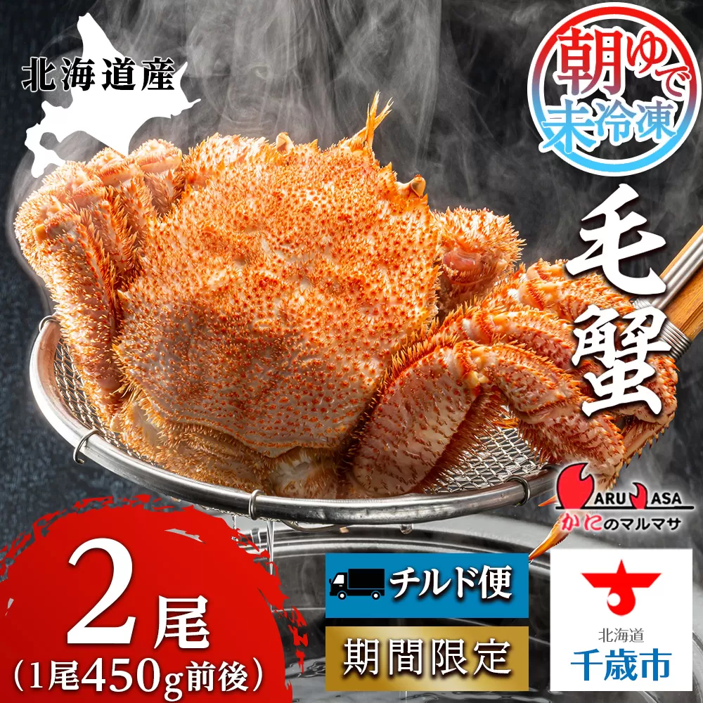 北海道産【 朝ゆで 】 毛ガニ （450g前後）2尾 期間限定！≪ かにのマルマサ ≫ かに 毛がに カニ 千歳 北海道 海鮮