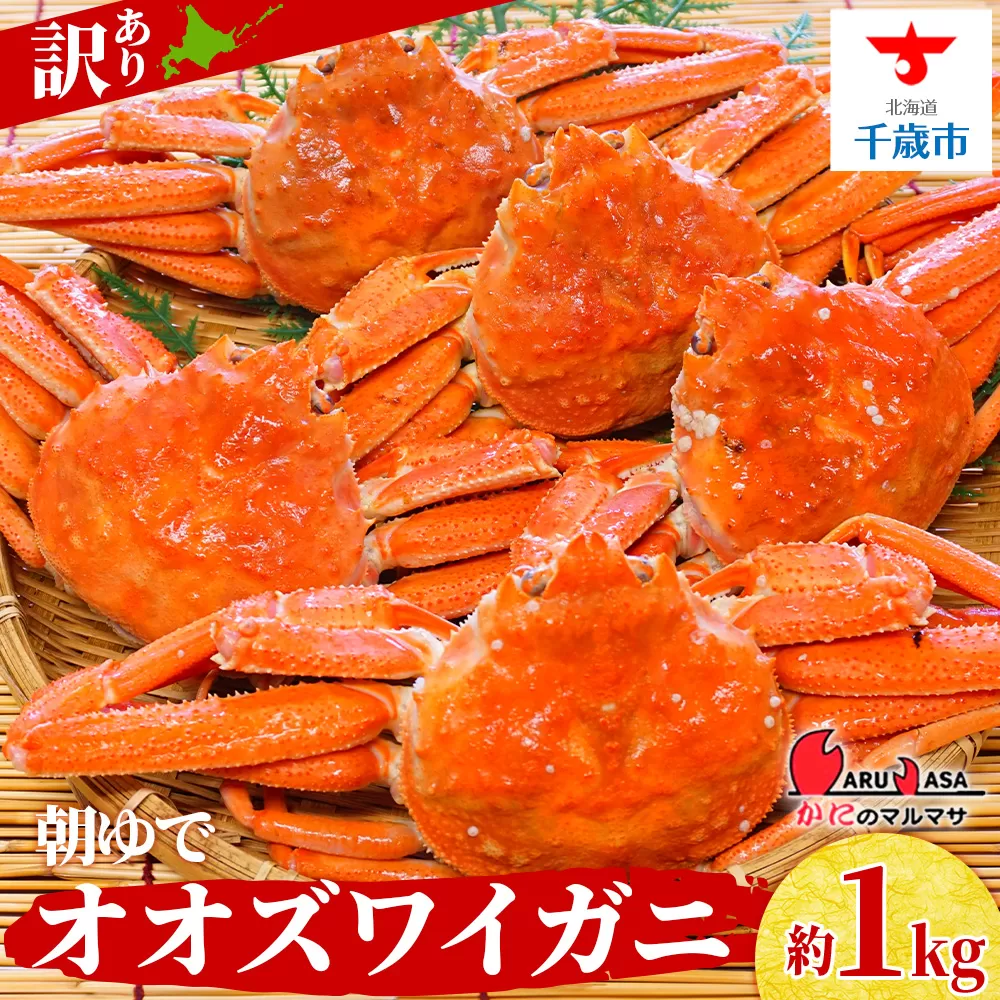 北海道産【 朝ゆで 】訳ありオオズワイガニ 1.0kg詰 ＜かにのマルマサ＞道産品 オオズワイ ズワイガニ ずわい蟹 カニ 蟹 規格外品 不揃い 訳アリ 訳有り