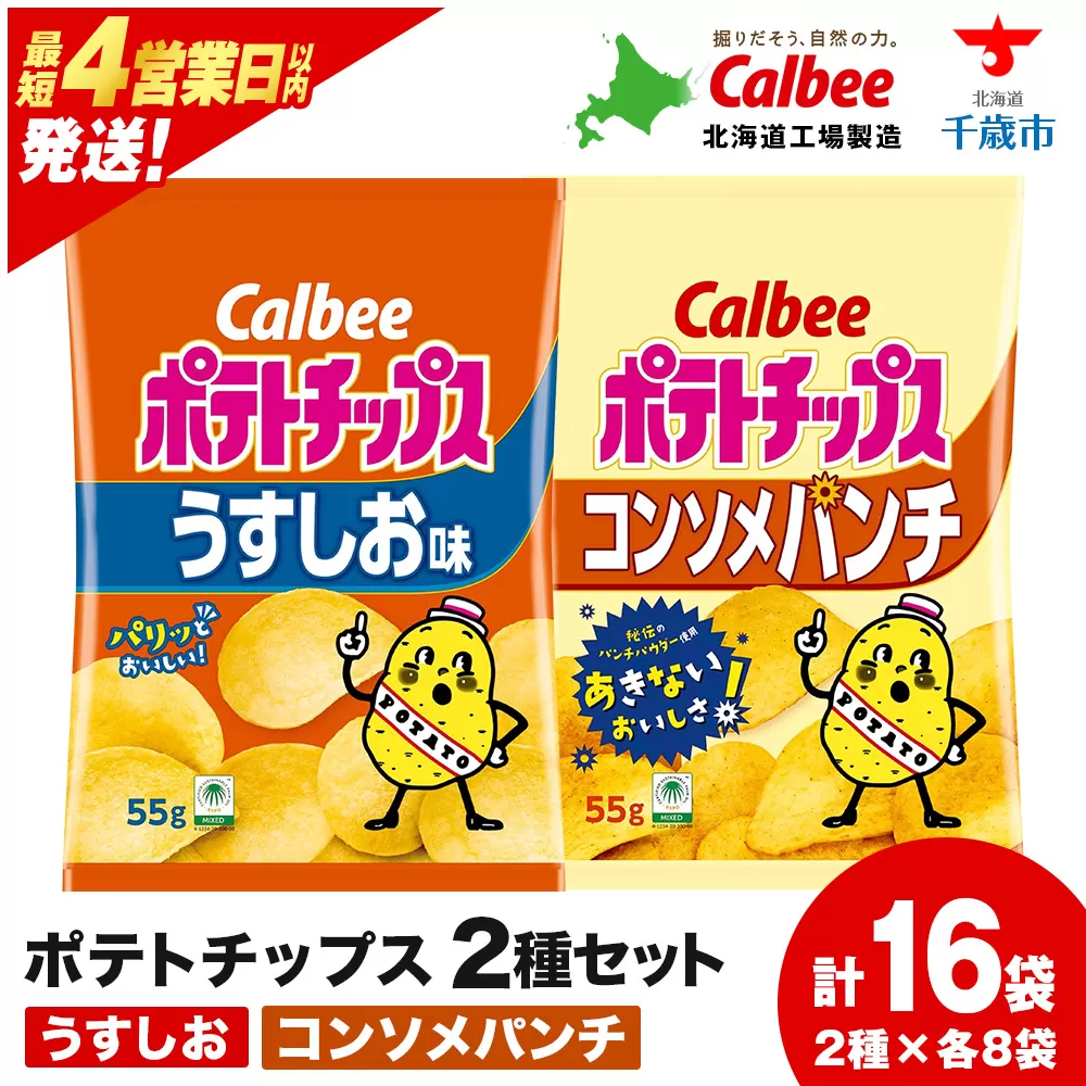 カルビーポテトチップス 2種セット うすしお・コンソメパンチ 各8袋 《北海道工場製造》