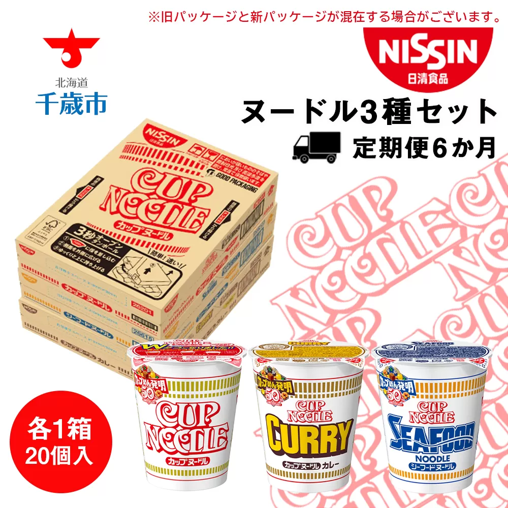 【定期便6か月】日清ヌードル3種セット 各1箱（20食）合計3箱