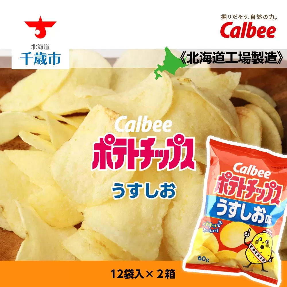 カルビーポテトチップス＜うすしお＞12袋入×2箱《北海道工場製造》
