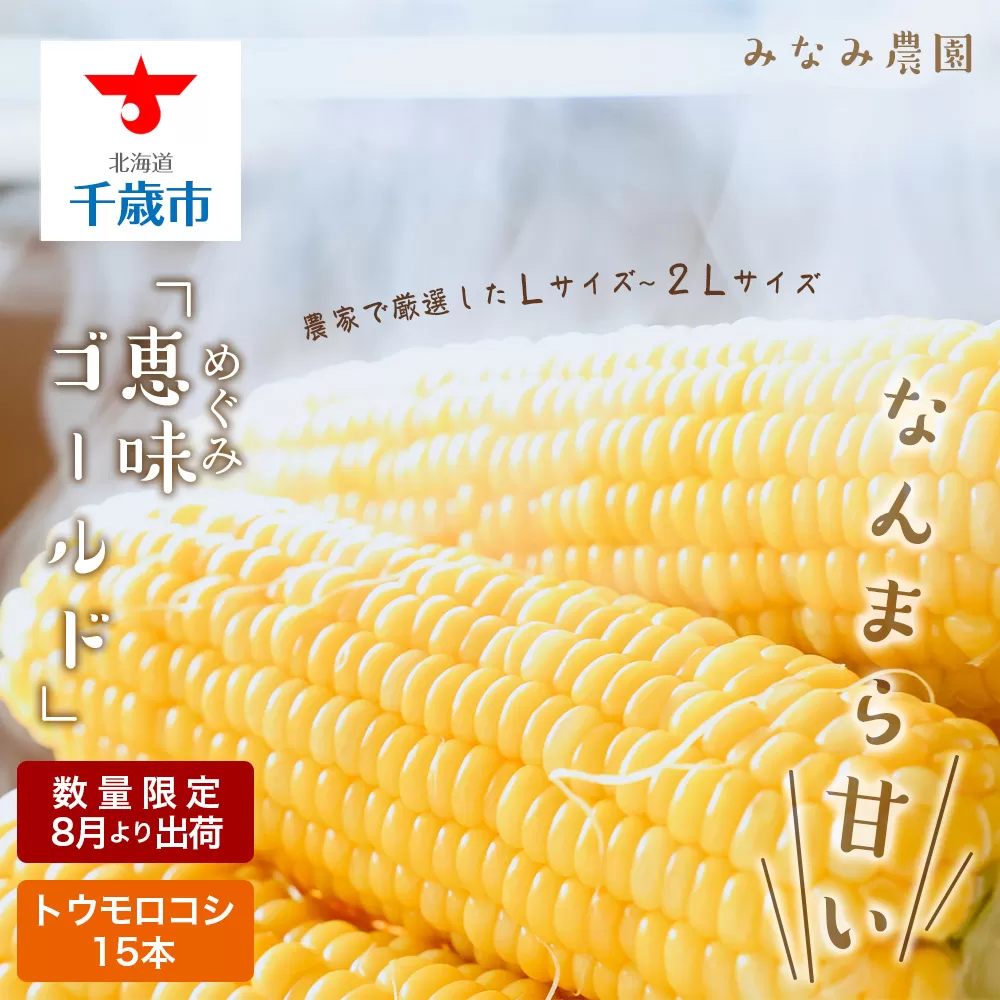なんまら甘くて食べやすい！2025年 8月より出荷！「 恵味ゴールド 」15本セット とうきび とうもろこし 野菜 コーン 北海道 千歳　