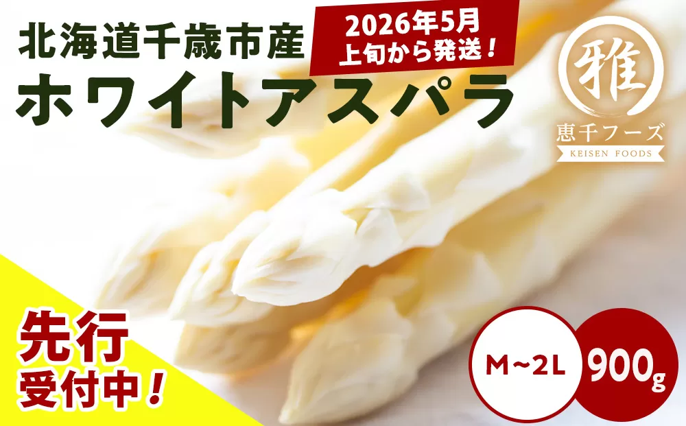 【2026年春発送】 ホワイトアスパラ 900g M～2L アスパラ アスパラガス 野菜 千歳 北海道