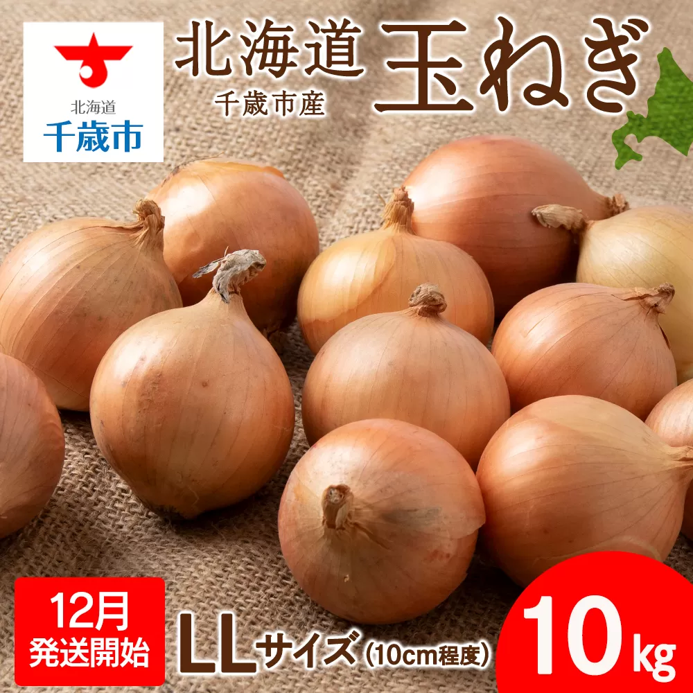 【先行予約】玉ねぎ 10kg LLサイズ 北海道 千歳市産 甘い たまねぎ 野菜 冷蔵 タマネギ 【假屋フードブリッジ】