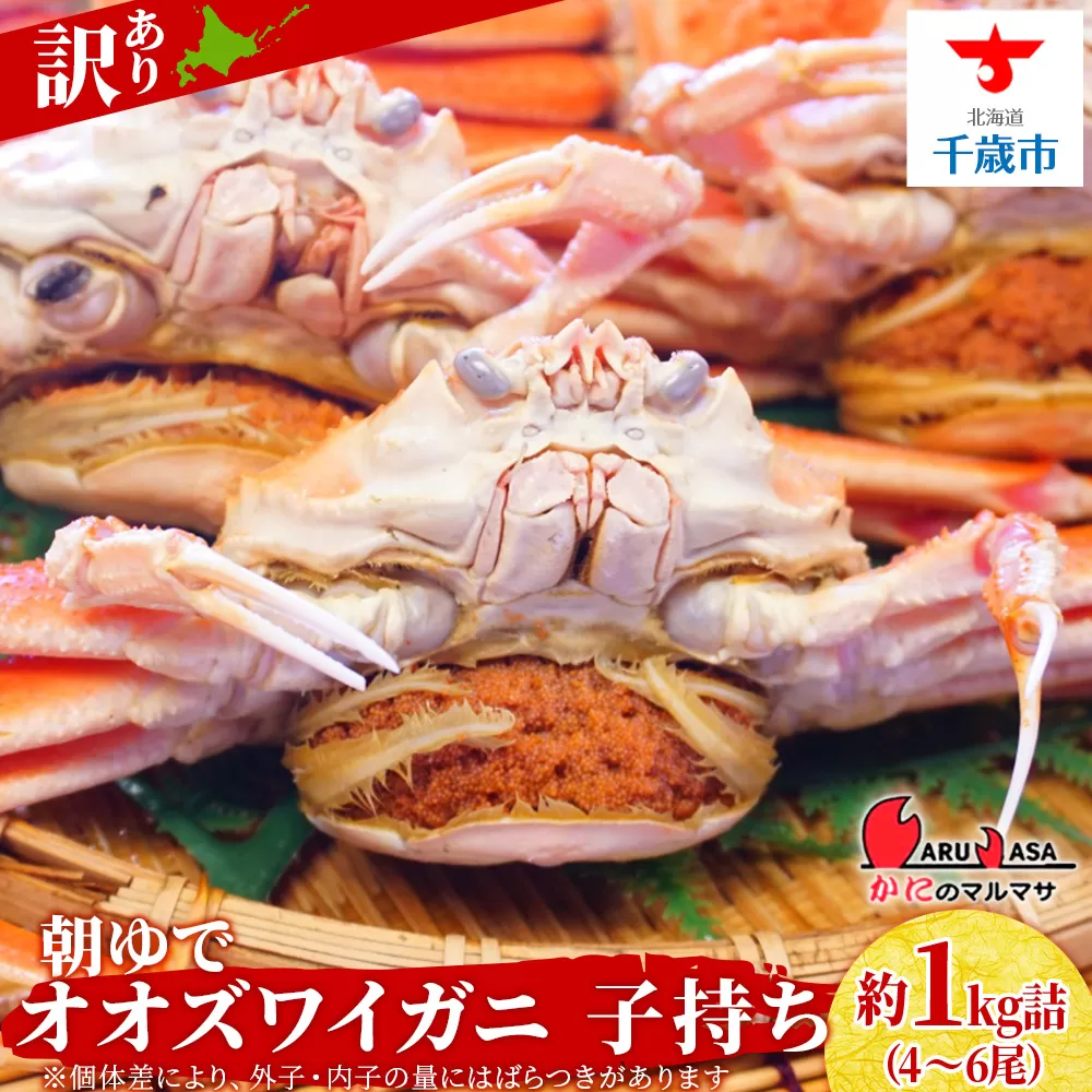 北海道産【朝ゆで】訳ありオオズワイガニ メス(小) 1.0kg詰 子持ち 内子 外子 道産品 オオズワイ ズワイガニ ずわい蟹 カニ 蟹 規格外品 不揃い 訳アリ 訳有り