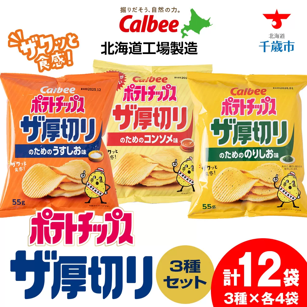 ポテトチップスザ厚切りのための 3種セット うすしお味4袋 コンソメ4袋 のり塩味4袋 合計12袋 1箱