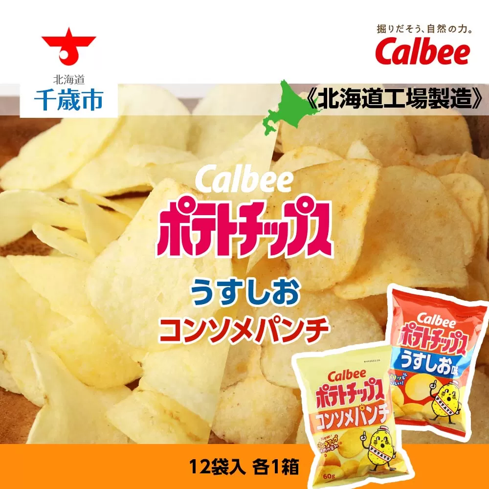 カルビーポテトチップス＜うすしお×コンソメパンチ＞12袋入 各1箱《北海道工場製造》