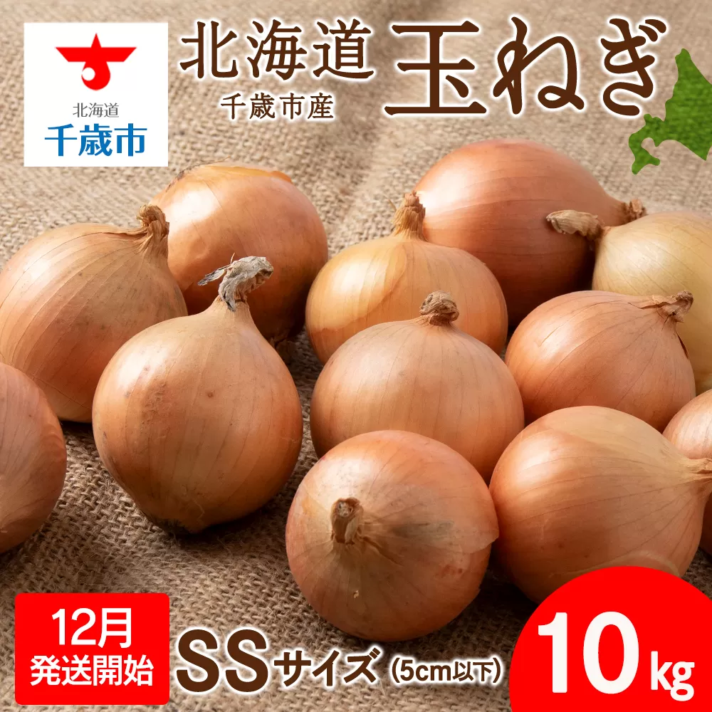 【先行予約】玉ねぎ 10kg SSサイズ 北海道 千歳市産 甘い たまねぎ 野菜 冷蔵 タマネギ 【假屋フードブリッジ】