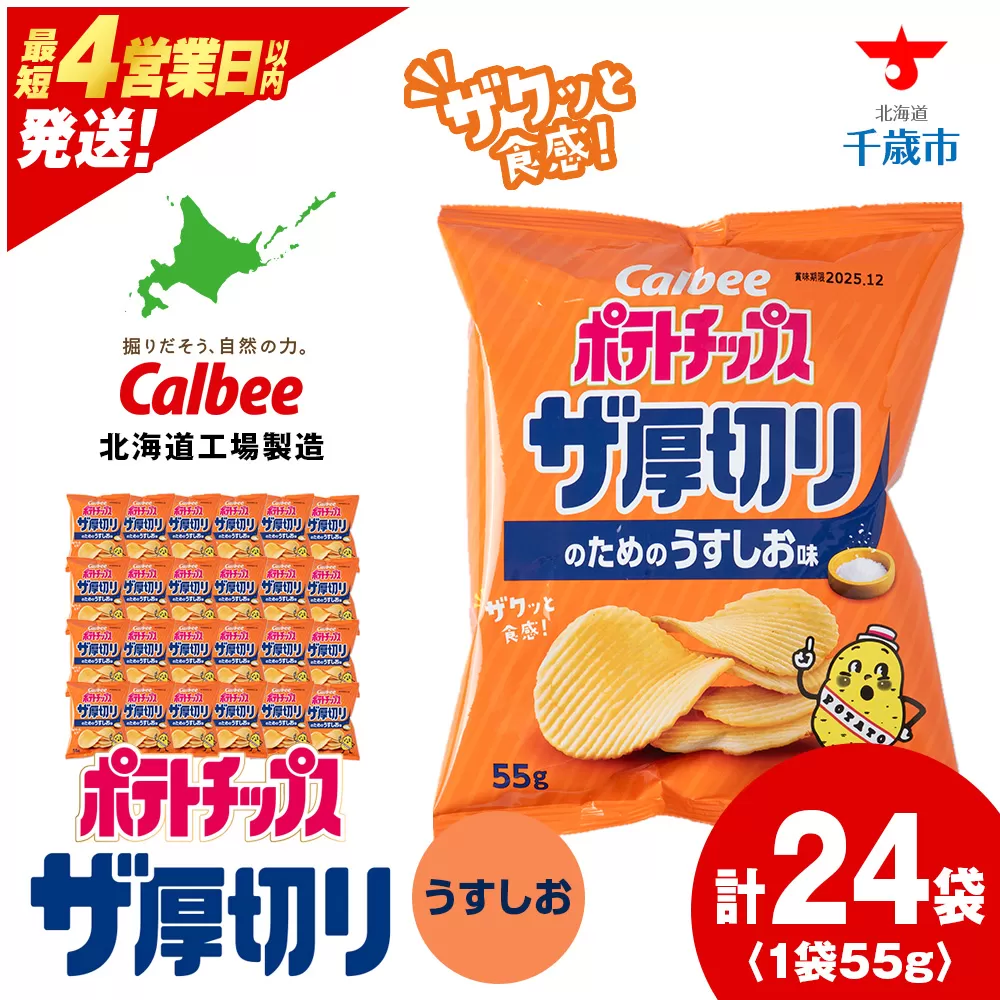 ポテトチップスザ厚切りのための うすしお味 ５５g ２４袋 ２箱