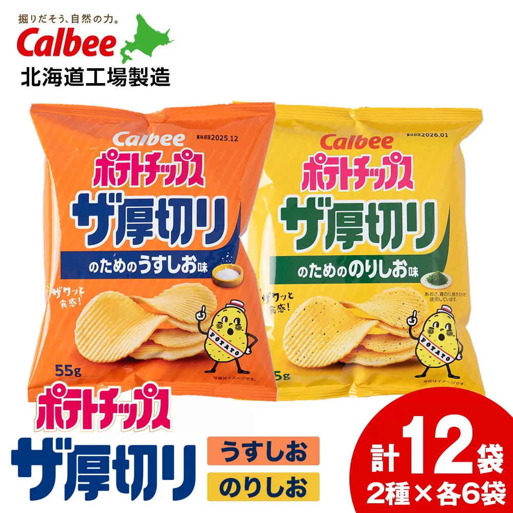ポテトチップス ザ厚切りのための ２種セット うすしお6袋 のり塩6袋 合計１２袋 １箱