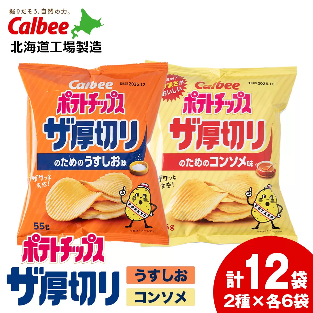 ポテトチップス ザ厚切りのための ２種セット うすしお6袋 コンソメ6袋 合計１２袋 １箱