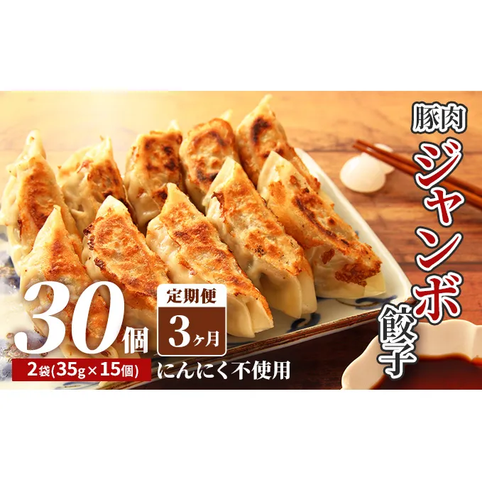 【3カ月定期便】北海道産豚肉のジャンボ餃子｜北海道 滝川市 ギョウザ 餃子 ぎょうざ 中華  惣菜 お惣菜 定期便 連続お届け