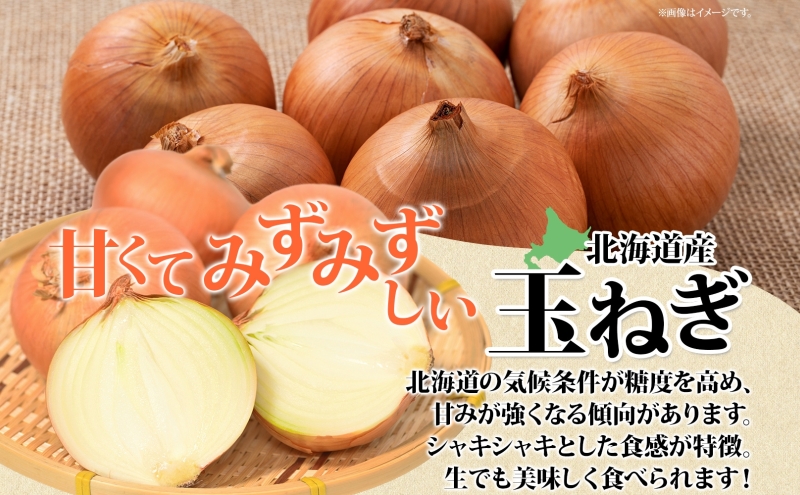た〜っぷり玉ねぎ20キロ 小ぶり10