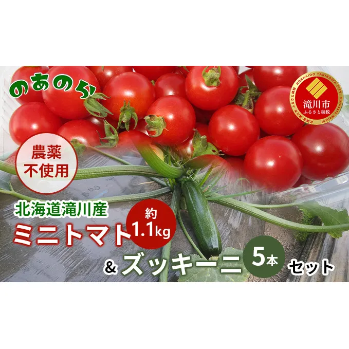 【2026年産先行受付】【栽培期間中 農薬不使用 】 北海道 滝川市 産 ミニトマト 約1.1kg& ズッキーニ 5本セット （2026年7月中旬発送） トマト 野菜 やさい みにとまと ずっきーに セット 詰め合わせ 詰合せ