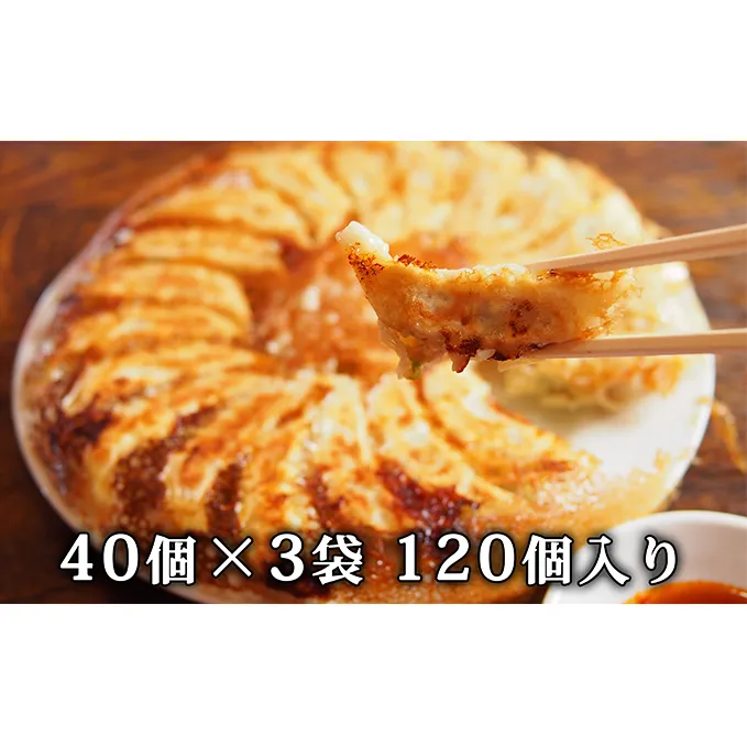 北海道産豚肉の餃子 120個｜北海道 滝川市 ギョウザ 餃子 ぎょうざ 中華 惣菜 お惣菜 おかず