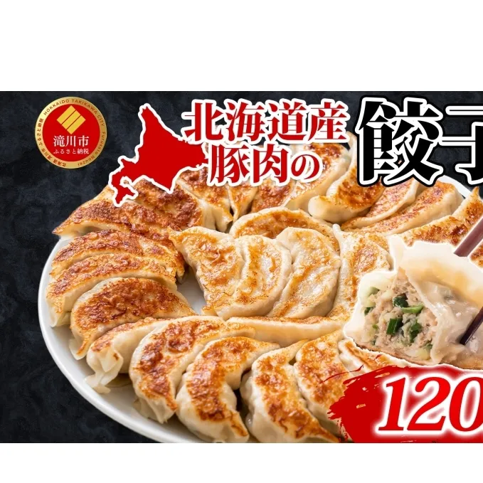 【 ふるさと納税 】楽楽食品 北海道産豚肉の餃子 120個 北海道産 日本産 国産 国産豚肉 豚肉 ポーク ギョウザ ぎょうざ 中華 中華料理 惣菜 お惣菜 おかず 焼き餃子 揚げ餃子 水ギョウザ 水餃子 餃子鍋 アレンジ 簡単調理 お取り寄せ 送料無料 北海道 滝川市