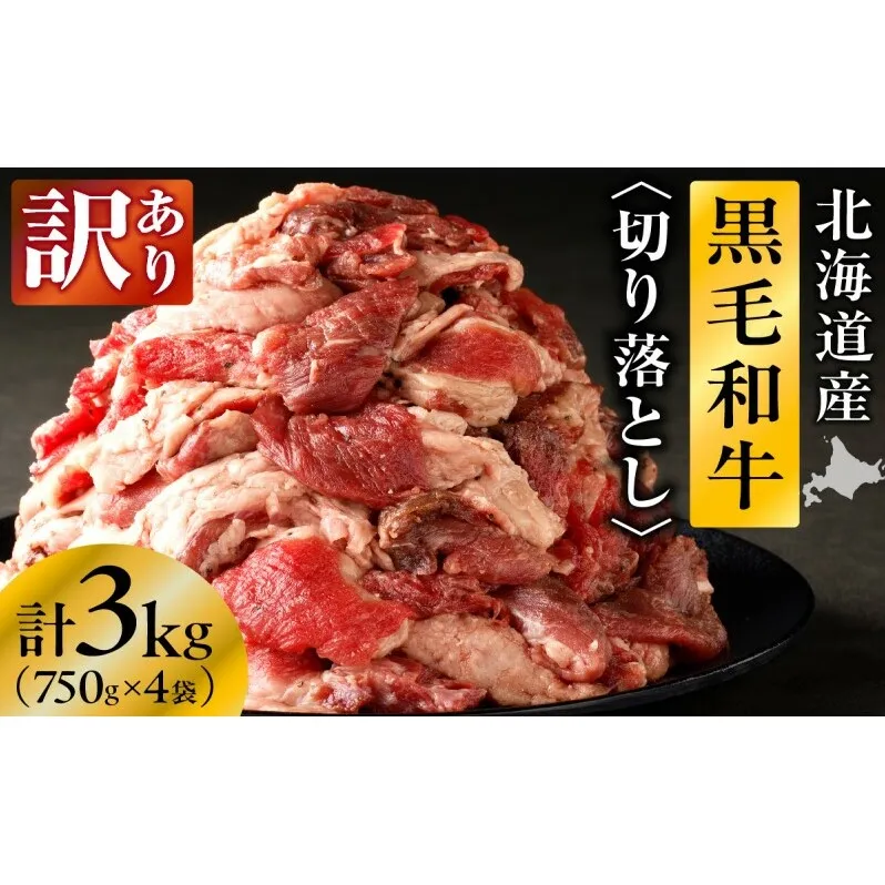 長谷川精肉店 訳あり 北海道産 黒毛和牛 牛すじ 切り落とし 750g×4袋 計3kg 和牛 北海道 滝川市 【配達不可：離島】
