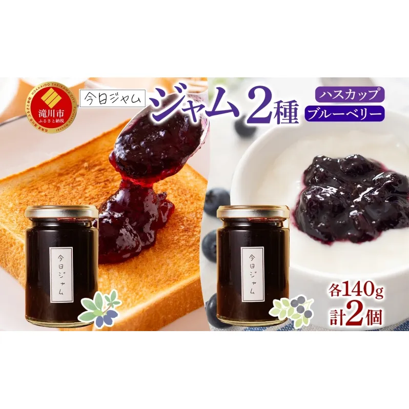 【ふるさと納税】ジャム2種セットA 各1個 ハスカップ ジャム ブルーベリージャム  今日ジャム 北海道産 自家製 パン ヨーグルト 朝食 濃厚 甘い デザート スイーツ おやつ グルメ ご褒美 贅沢 ギフト 送料無料 北海道 滝川市
