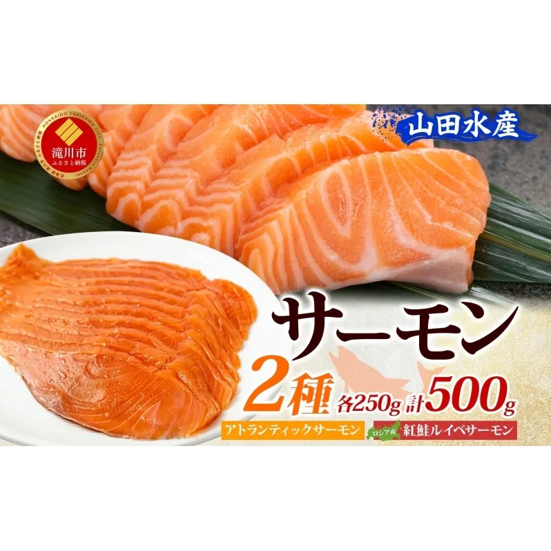 山田水産 アトランティックサーモン ロシア産 紅鮭 ルイベ サーモン 各250g 計500g 小分け 鮭 海鮮 生食用 刺身用 サケ さけ シャケ しゃけ 魚 魚介類 刺身 寿司 丼 新鮮 送料無料 山田水産 北海道 滝川市