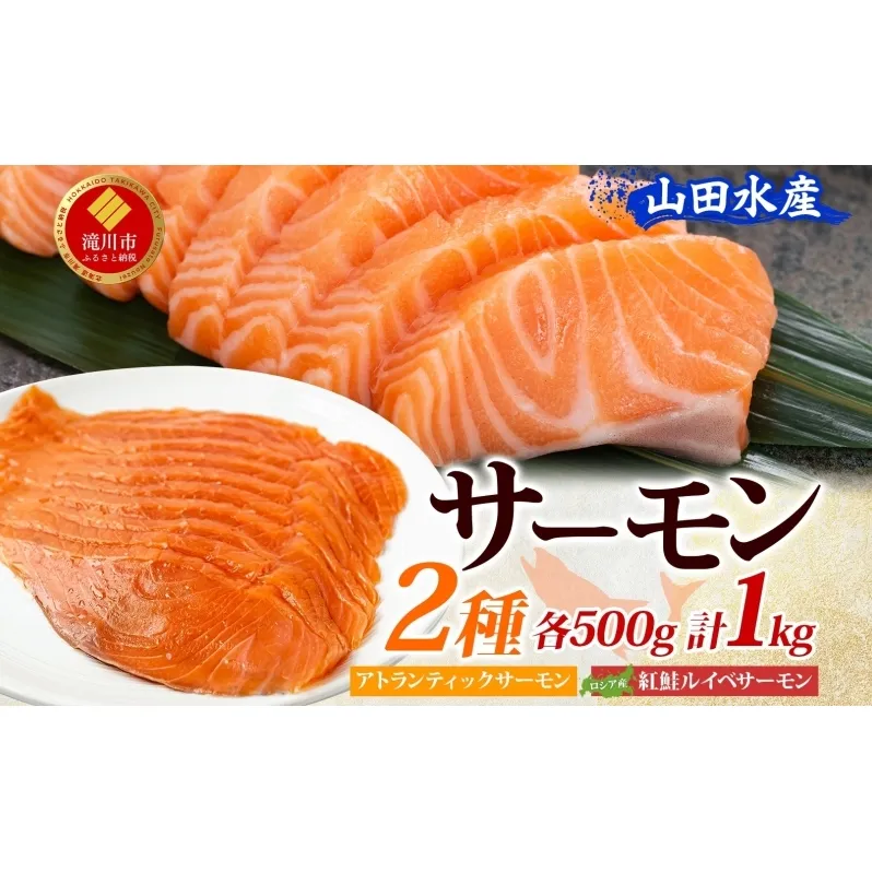 山田水産 アトランティックサーモン ロシア産 紅鮭 ルイベ サーモン 各500g 計1kg 鮭 海鮮 生食用 刺身用 サケ さけ シャケ しゃけ 魚 魚介類 刺身 寿司 丼 新鮮 送料無料 山田水産 北海道 滝川市