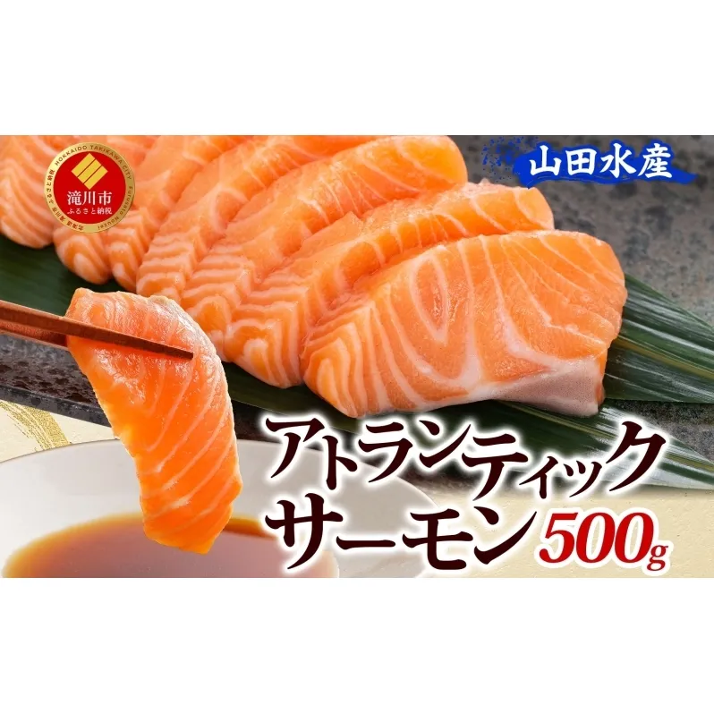 山田水産 アトランティックサーモン 500g 鮭 海鮮 サーモン 生食用 刺身用 サケ さけ シャケ しゃけ 魚 魚介類 刺身 寿司 海鮮丼 丼 新鮮 おかず おつまみ 海の幸 送料無料 山田水産 北海道 滝川市