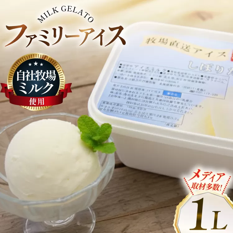 テレビで紹介！ アイス ジェラート ミルク 1L ファミリーサイズ [岩瀬牧場 北海道 砂川市 12260967] 冷凍 アイスクリーム 詰め合わせ スイーツ