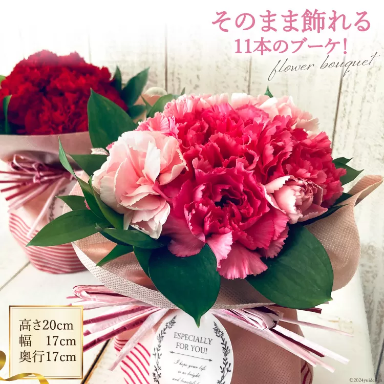 そのまま飾れる11本のブーケ！[池川”FLOWER”生花店 北海道 砂川市 12260608] 花 花束 アレンジメント カーネーション 母の日 誕生日 プレゼント ギフト