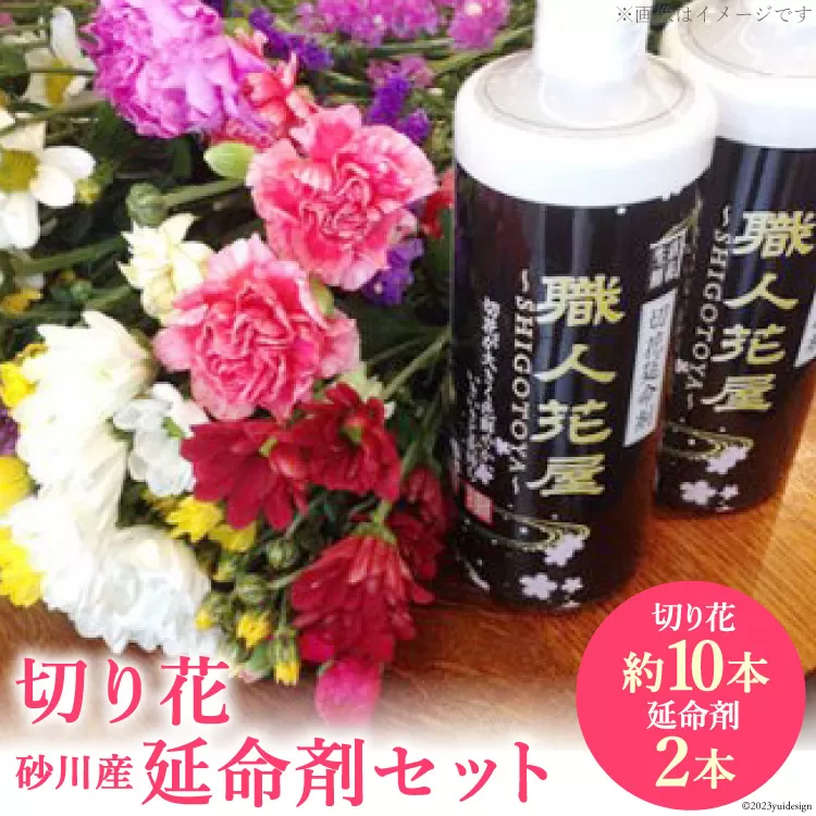 【北海道内限定】切り花(約10本)＆砂川産延命剤(2本)セット [いけがわ生花店 北海道 砂川市 12260336]
