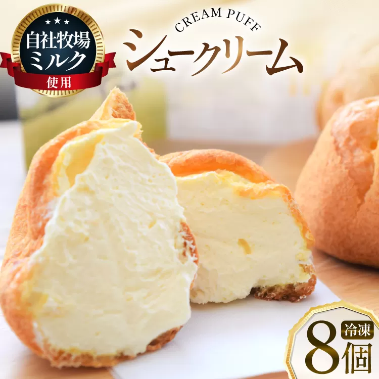 シュークリーム 冷凍 8個 [岩瀬牧場 北海道 砂川市 12260955] 冷凍配送 お菓子 おやつ お取り寄せ スイーツ しゅーくりーむ