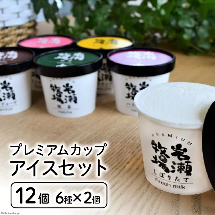 プレミアムカップアイス12個セット [岩瀬牧場 北海道 砂川市 12260340] アイス イタリアン ジェラート 詰め合わせ